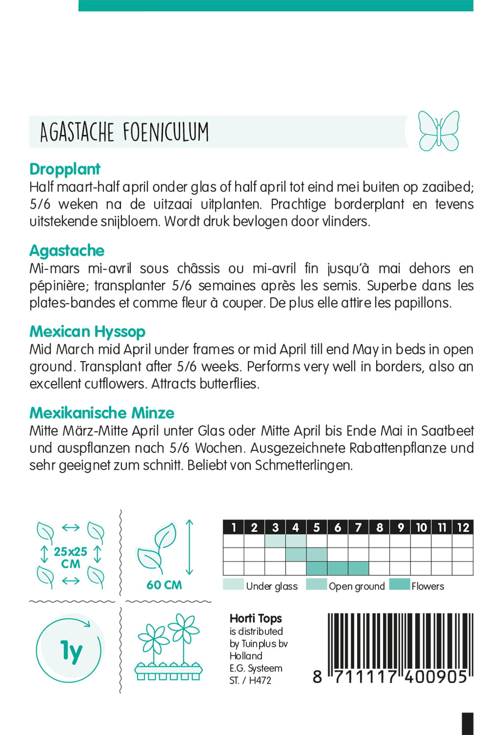Hysope mexicaine - 0,4 g