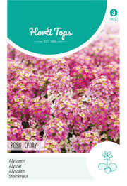 Alyssum - Rosie O'Day - 0,5 g