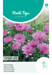 Summer Aster - Bambina Rose - 20 Seeds