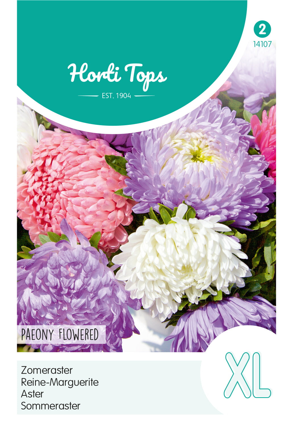 Aster - Paeony Flowered - XL - 0,75g