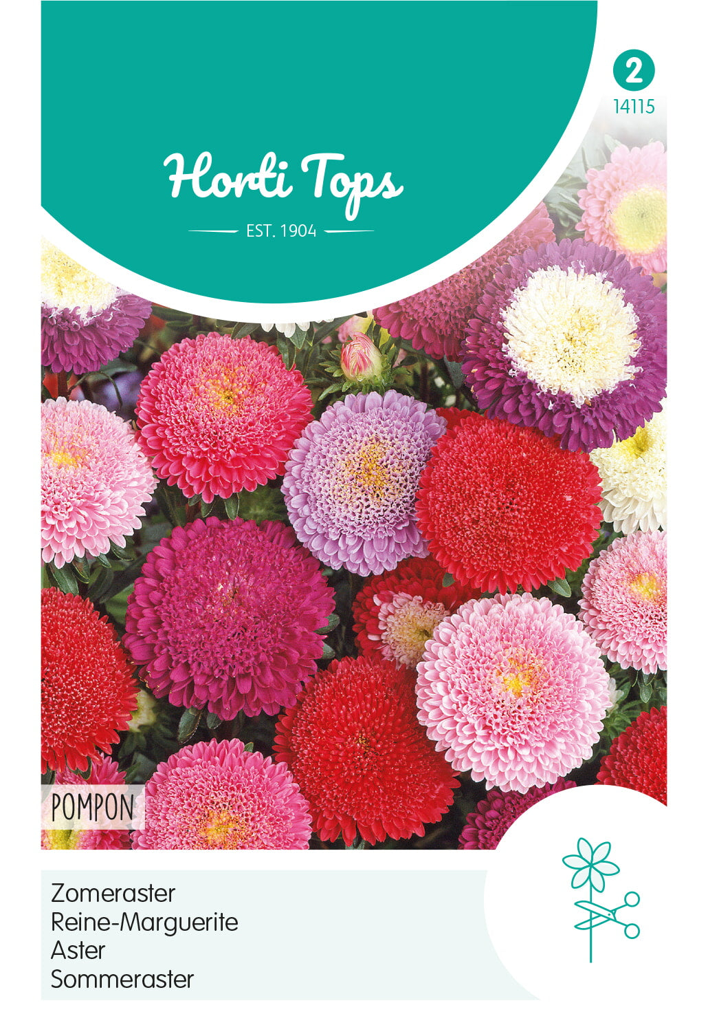 Aster - Pompon - 0,5g