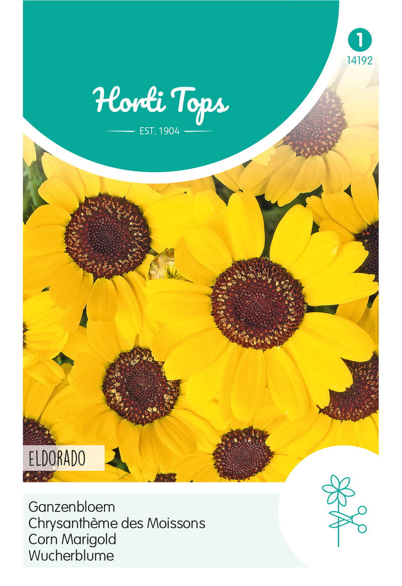 Corn Marigold - Eldorado - 1g