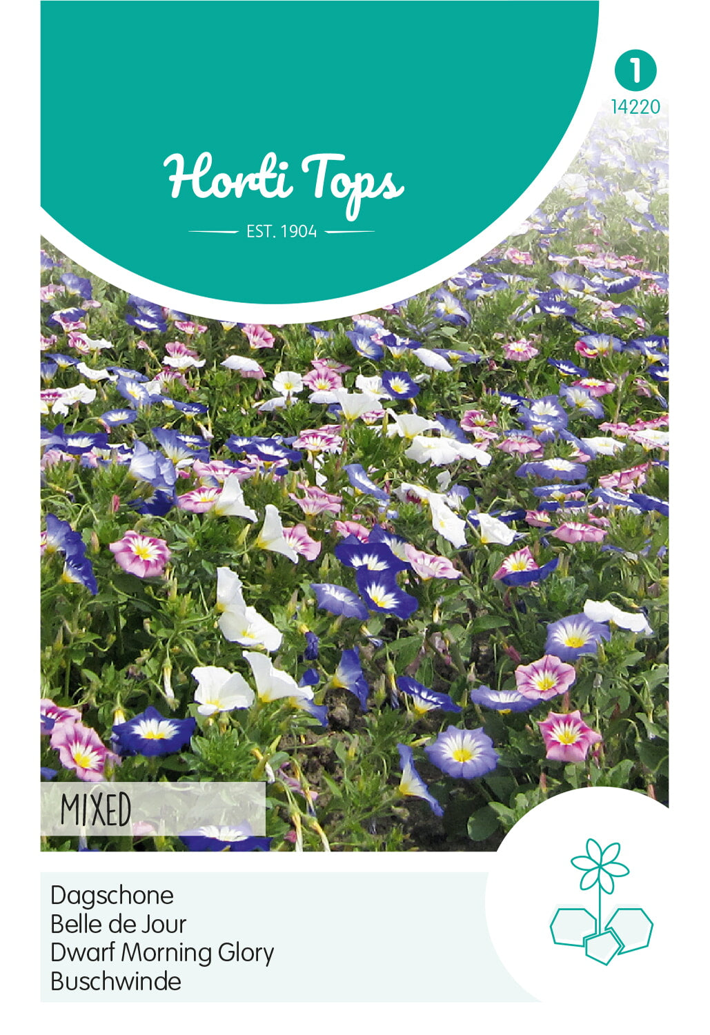 Morning Glory - Dwarf - Mixed - 1,5g