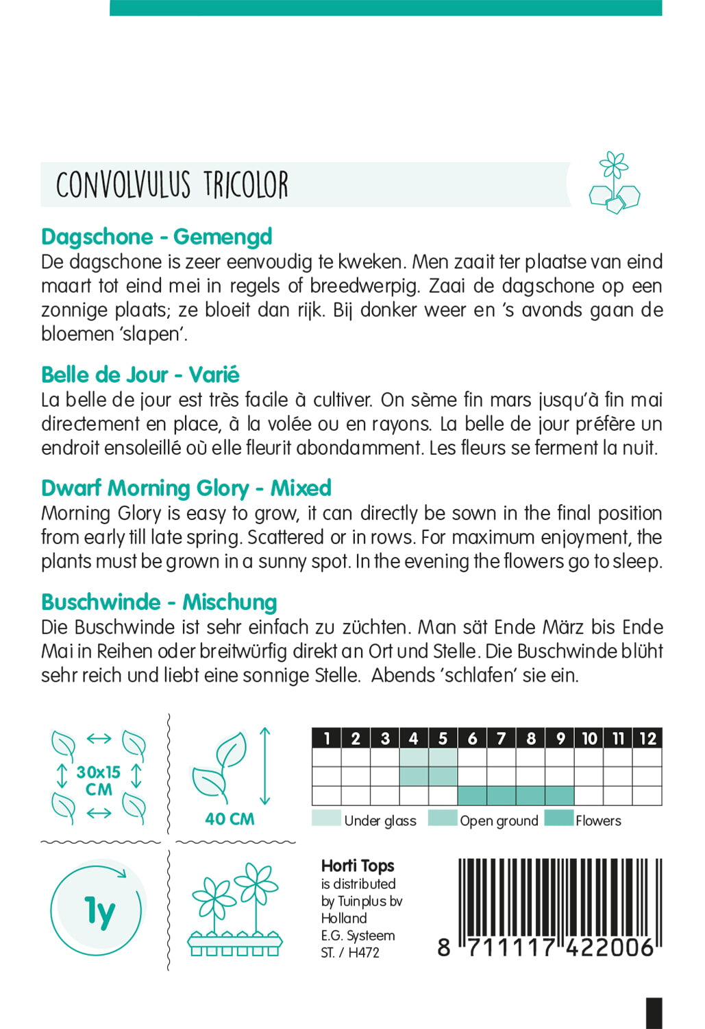 Morning Glory - Dwarf - Mixed - 1,5g