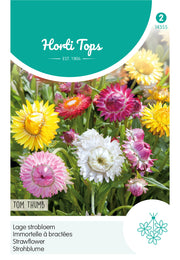 Strawflower - Tom Thumb - 0,75 g
