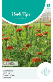 Lion's Ear - Klip Dagga - 20 Seeds