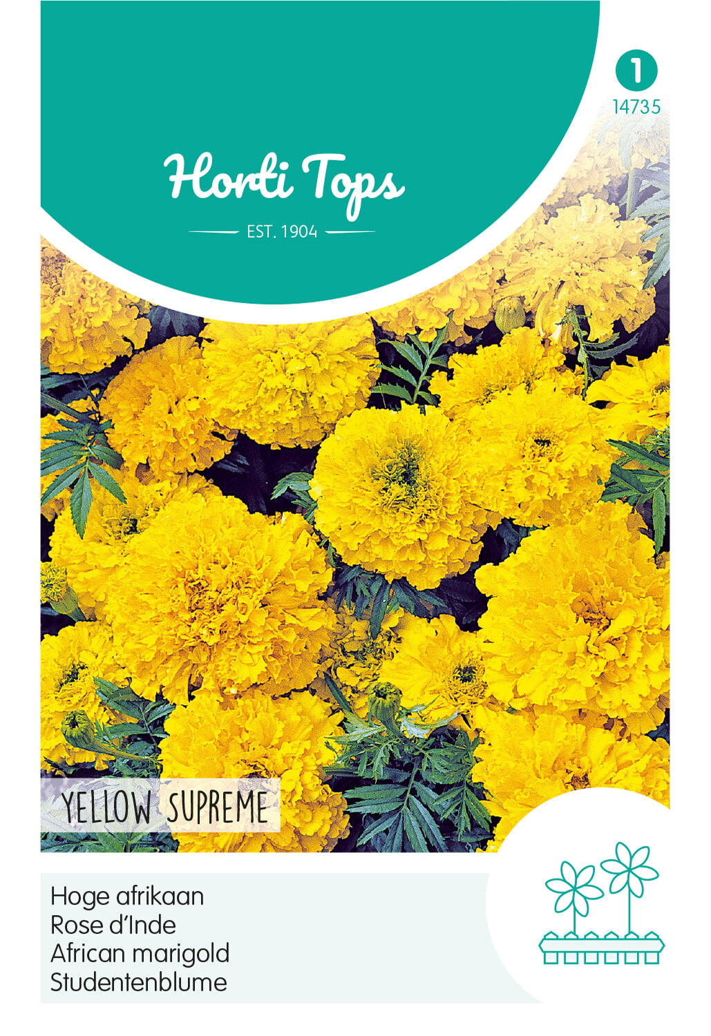 Rose d’Inde – Yellow Supreme – 1 g
