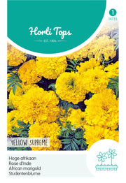 Rose d’Inde – Yellow Supreme – 1 g