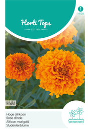 Afrikanische Studentenblume – Hawaii Orange – 1 g