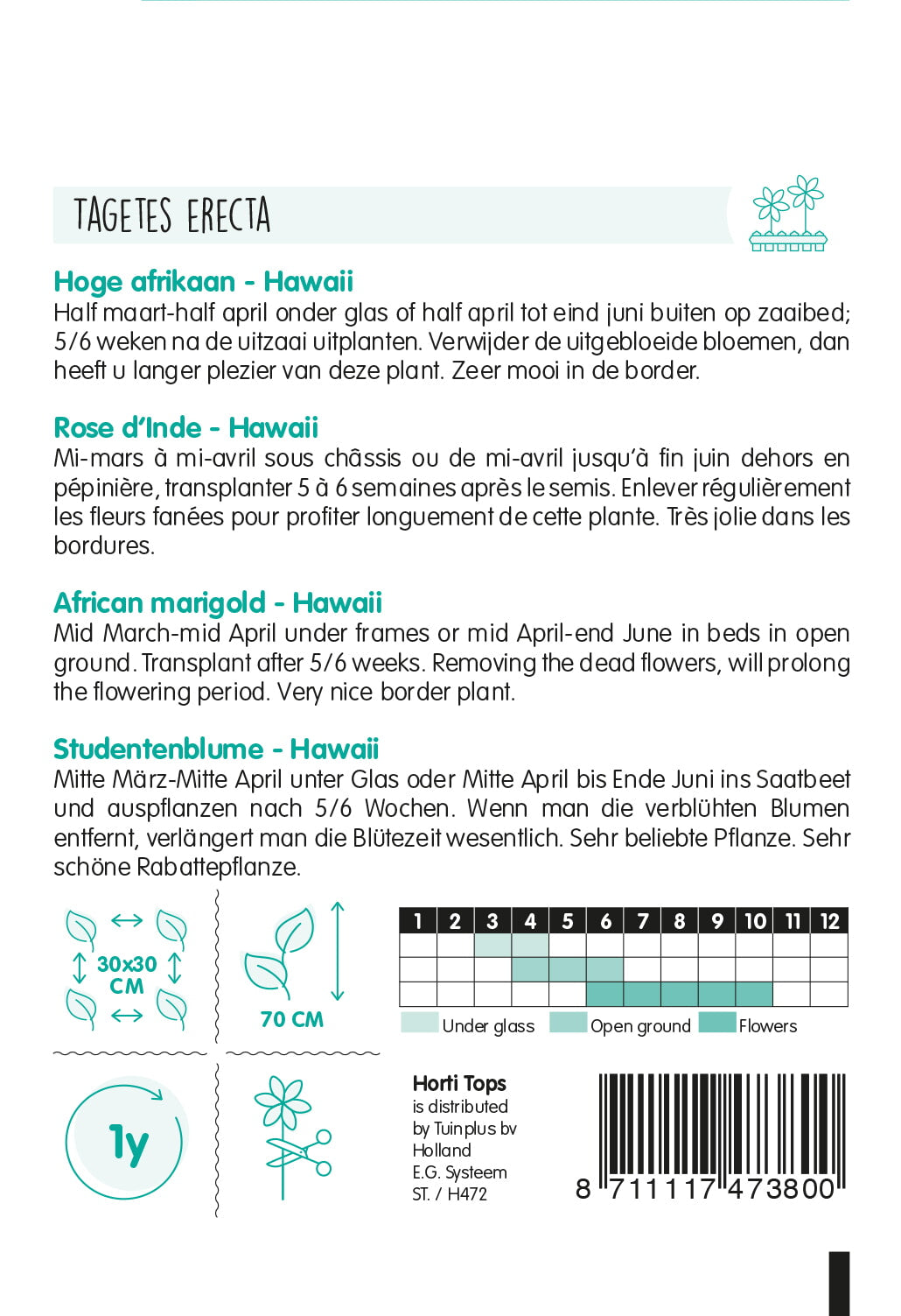 Afrikanische Studentenblume – Hawaii Orange – 1 g