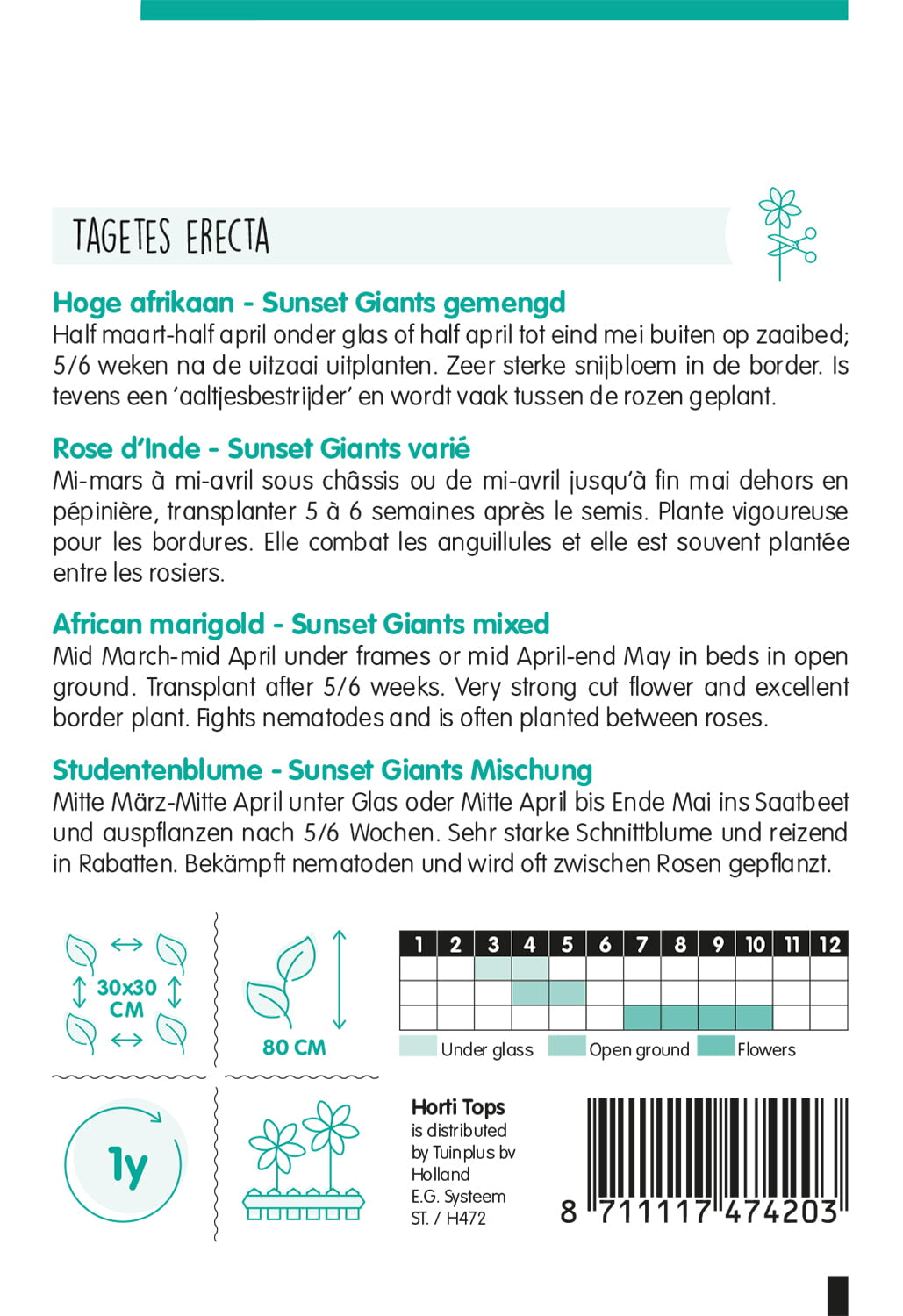 Afrikaans afrikaantje – Sunset Giants – 1 g