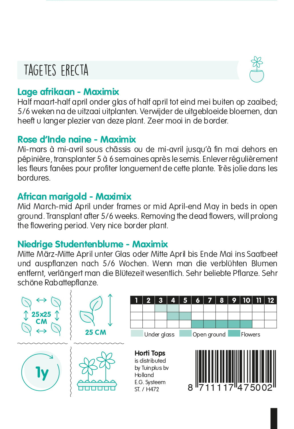 Afrikaans afrikaantje – Maximix – 0,5 g