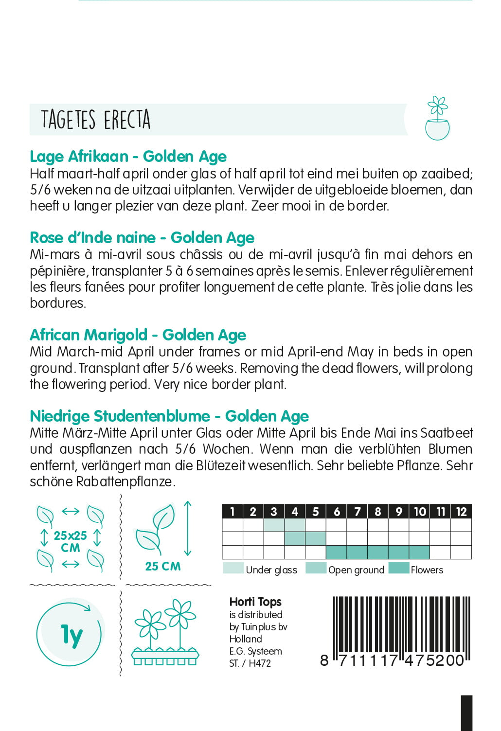 Afrikaans afrikaantje – Golden Age – 0,5 g
