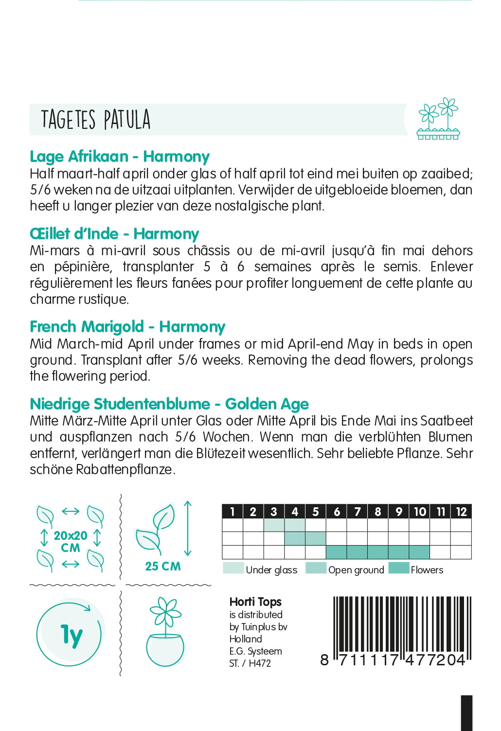 Frans afrikaantje – Petite Harmony – 1 g