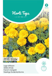 Œillet d’Inde nain – Petite Yellow – 1 g