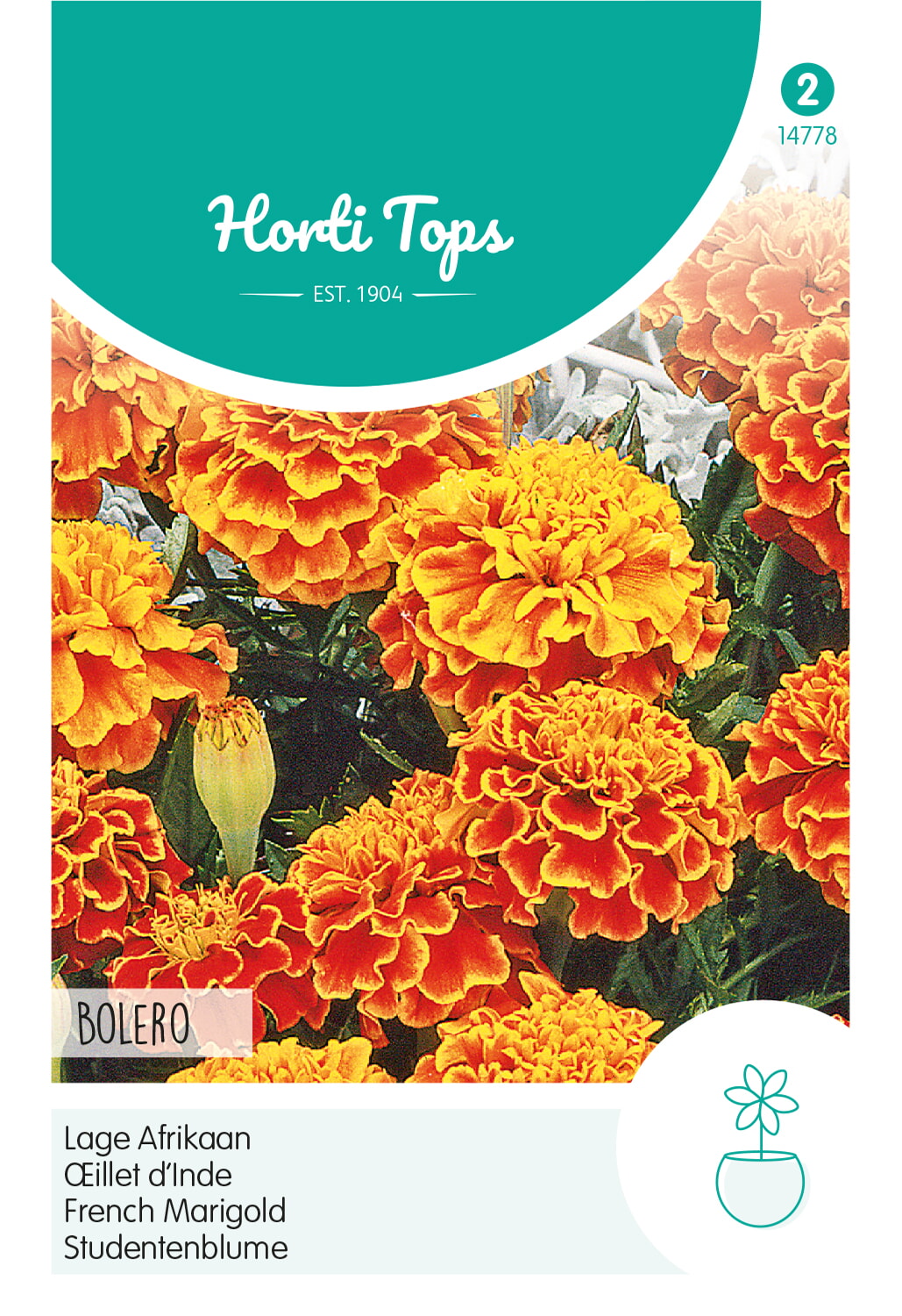 Œillet d’Inde nain – Bolero – 1 g