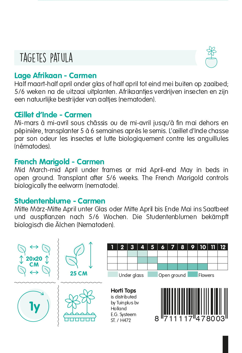Frans afrikaantje – Carmen –  1 g