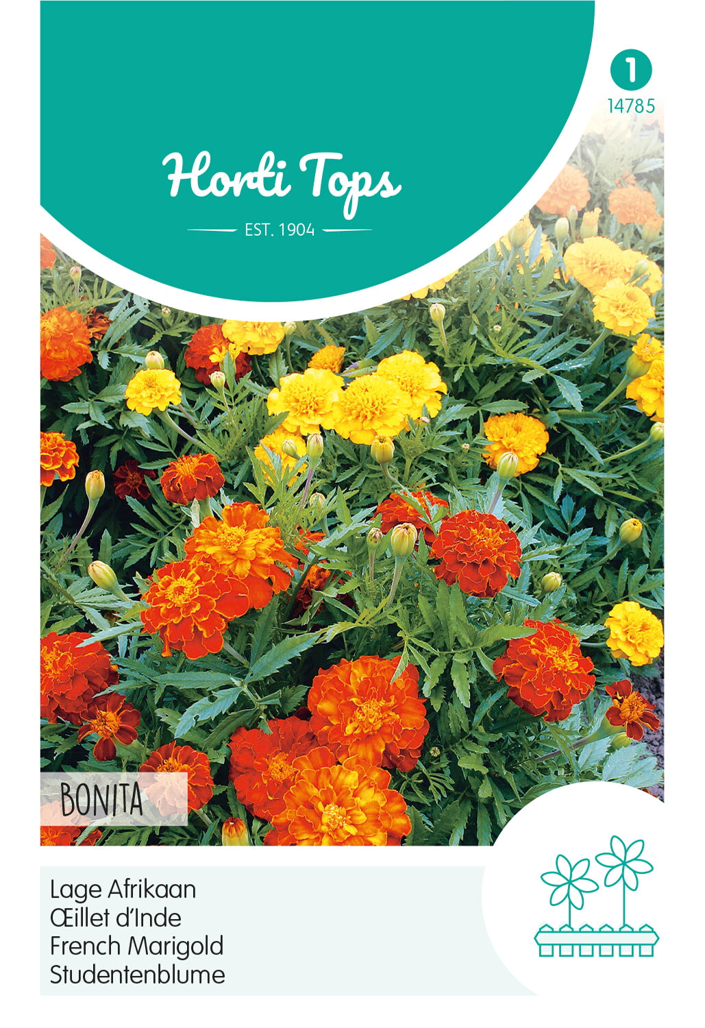 Französische Studentenblume – Bonita Mix – 1 g