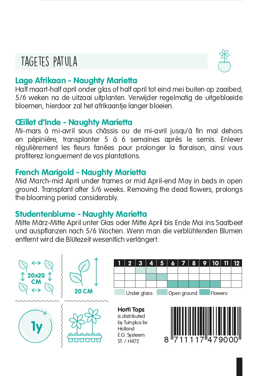 Frans afrikaantje – Naughty Marietta – 1 g