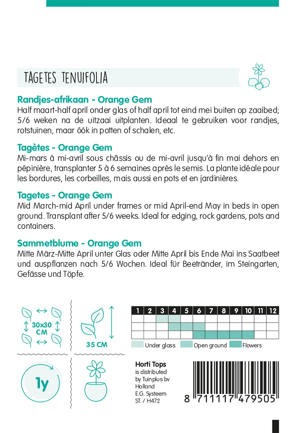 Œillet d’Inde à feuillage fin – Orange Gem – 0,75 g