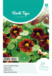 Nasturtium - Black Velvet - 4 g