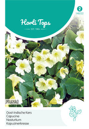 Nasturtium - Milkmaid  - 3g