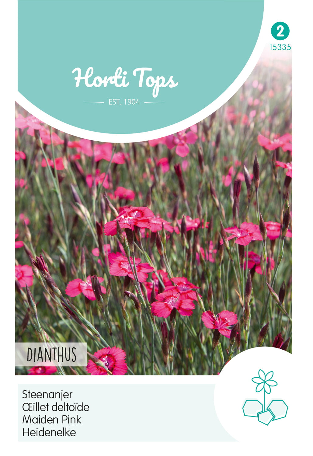 Maiden Pink - Dianthus - 0.25 g