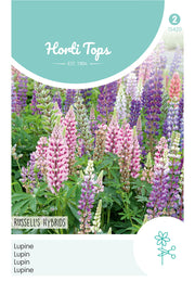 Lupine - Russell's Hybriden - 2 g