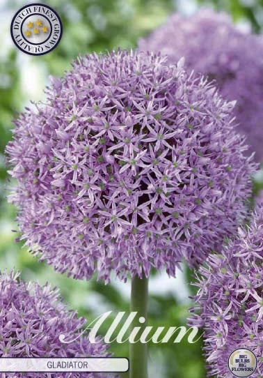 Garden Plants