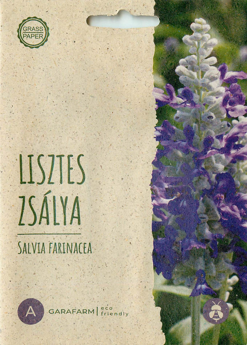 Mealy Sage - Strata Bicolor - 20 Seeds