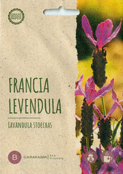 Franse Lavendel - Bandera Diep Roze - 10 Zaden