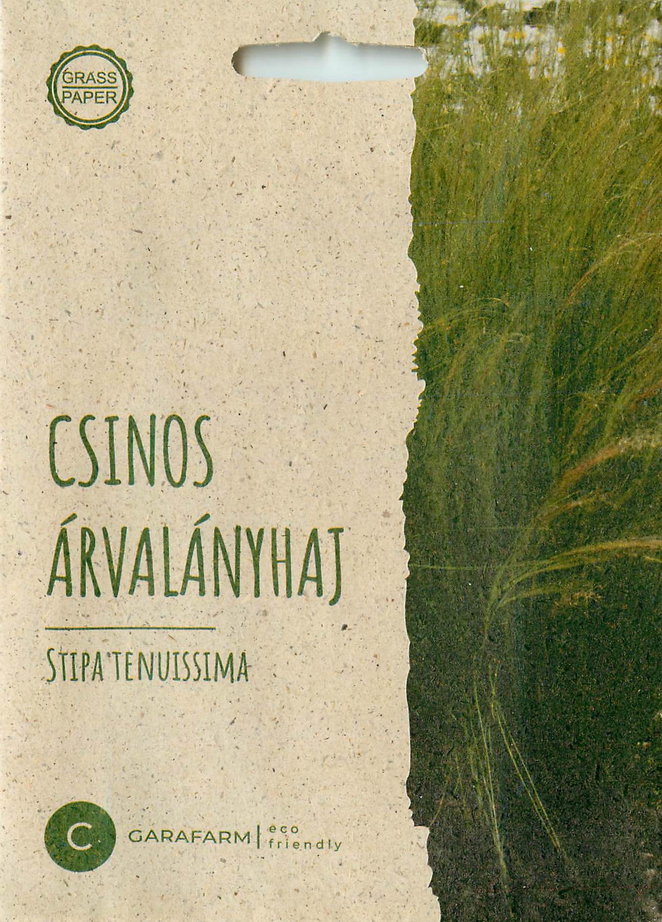 Mexican Feathergrass - Pony Tails - 10 Seeds