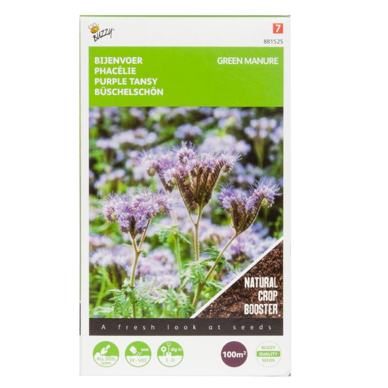 Groenbemesting - Paarse Boerenwormkruid - 100 g - 100 m2