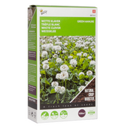 Groenbemesting - Witte Klaver - 100 g - 100 m2