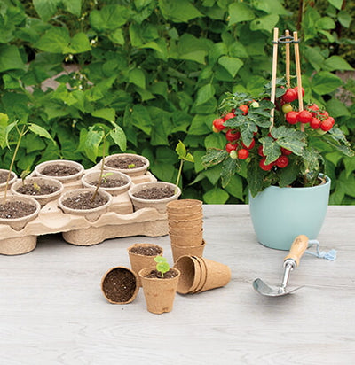 Round Organic Pots - 6 cm - 14 pcs