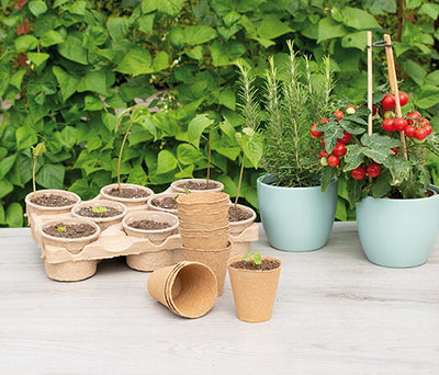 Round Organic Pots - 8 cm - 10 pcs