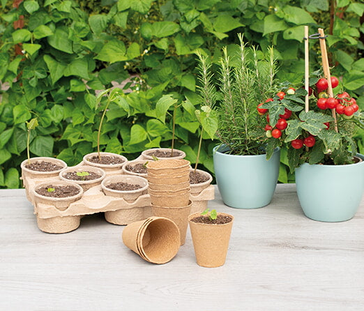 Round Organic Pots - 8 cm - 10 pcs