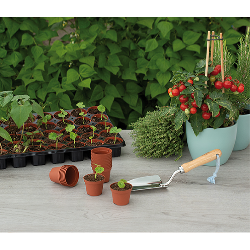 Plastic Pots - Ø 6cm - 30 pcs