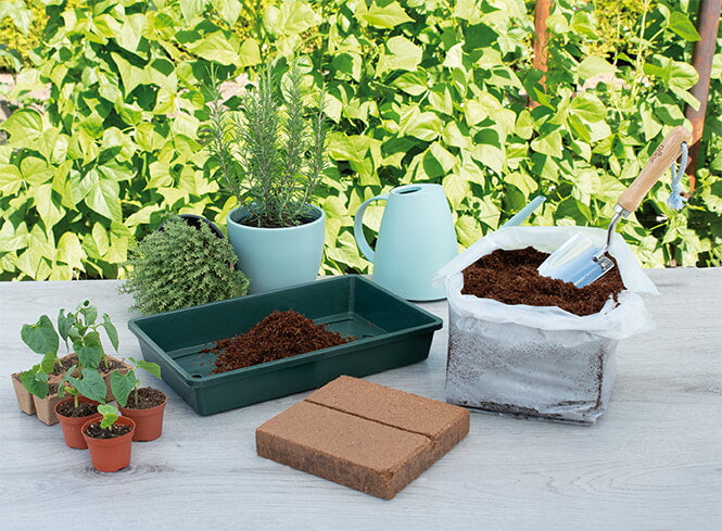 Tablette de sol en noix de coco - 10L