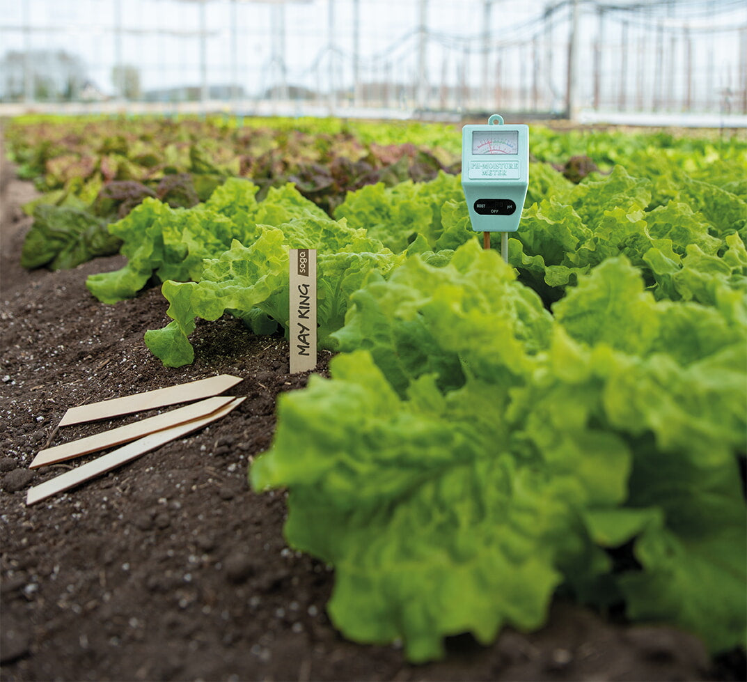 Mètre Hygro + PH 2-en-1