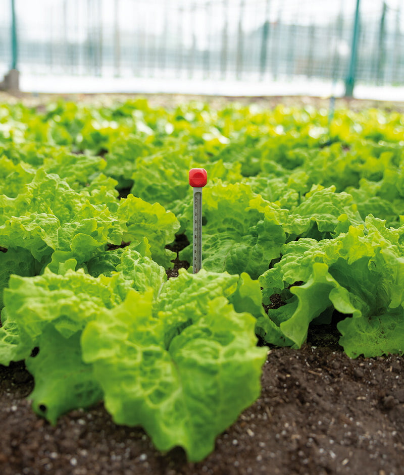 Soil Thermometer