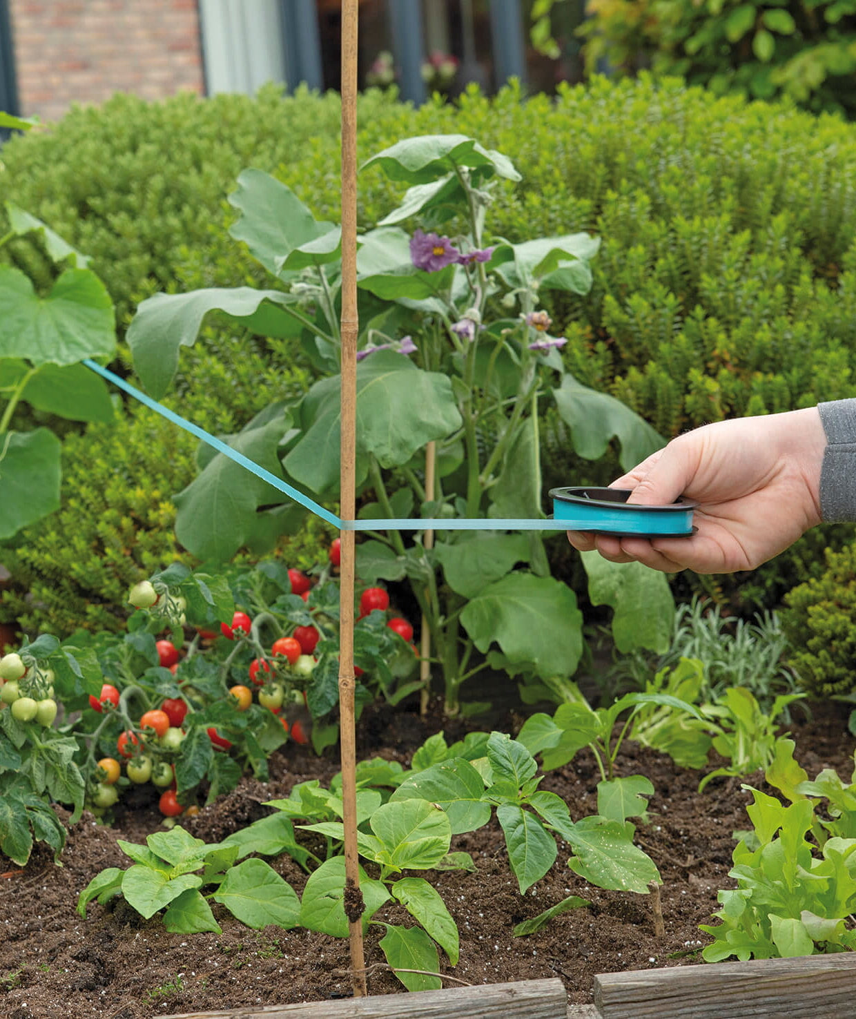 Ruban anti-oiseaux - 30 m