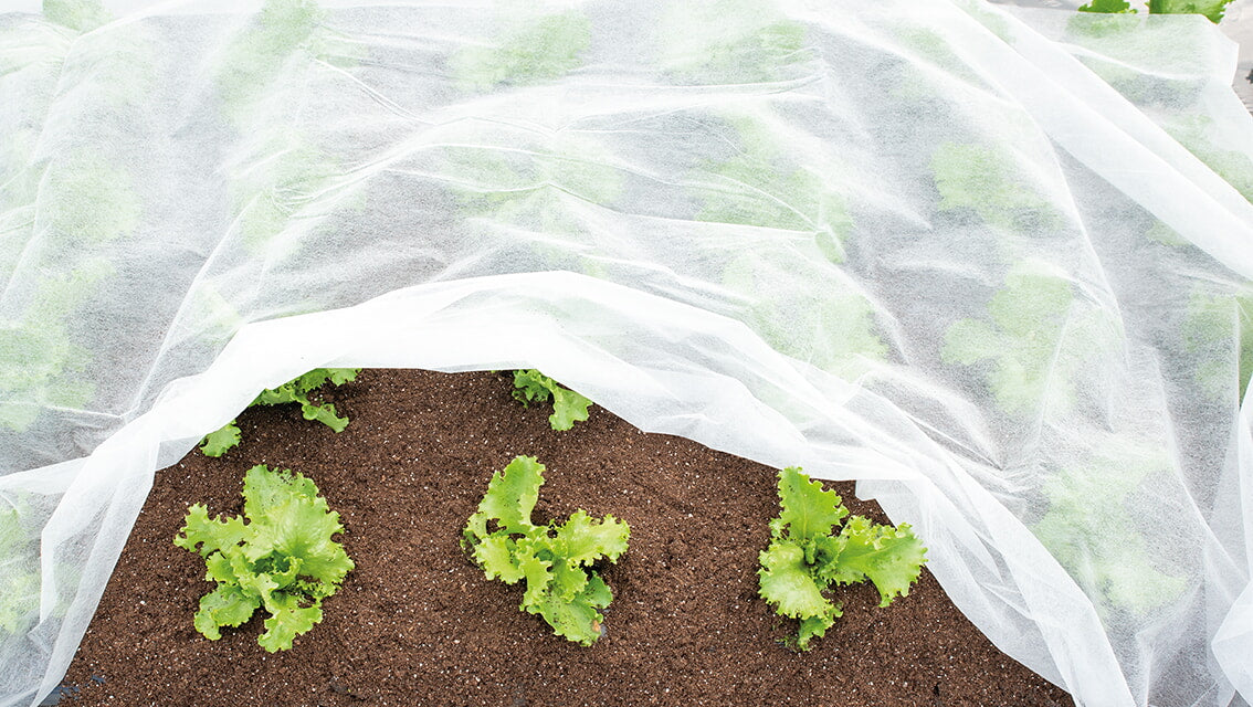 Tissu de protection pour plantes - 1,5x10m