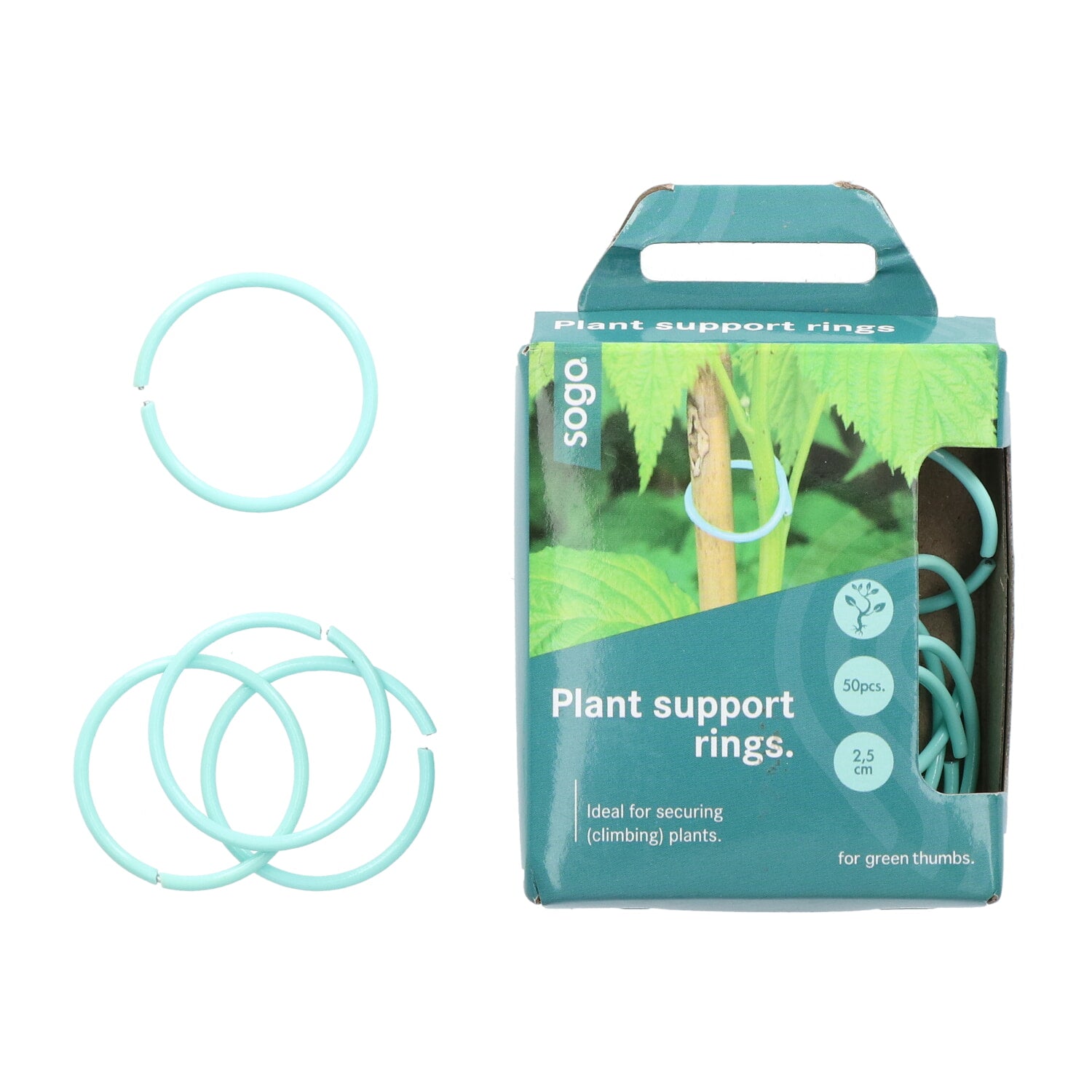 Anneaux de Plante - 50 pcs
