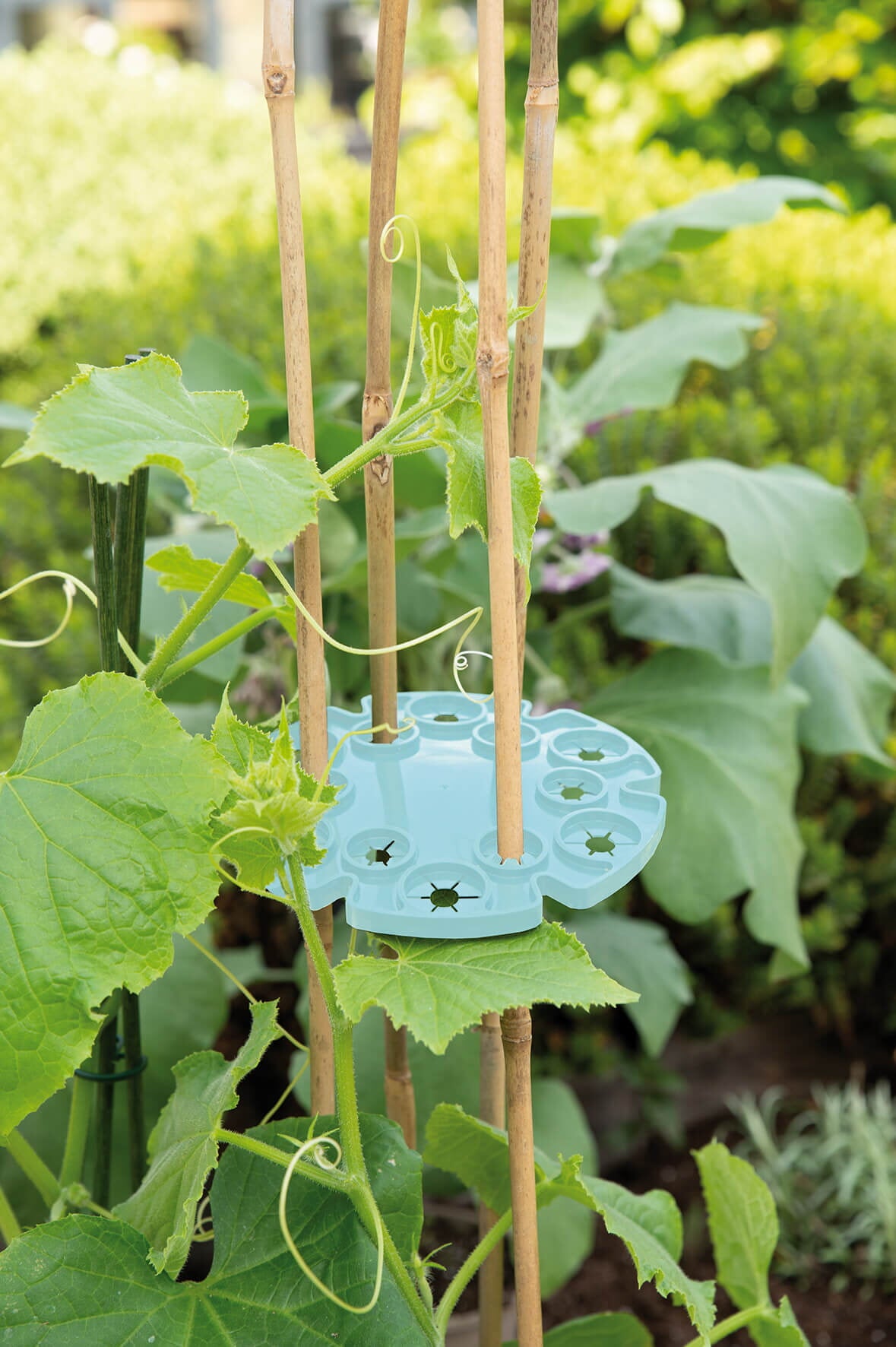 Support de canne Tonkin - 3 pcs