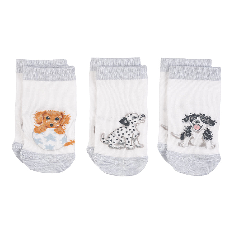 Baby Socks - Little Paws - 6-12 Months-1