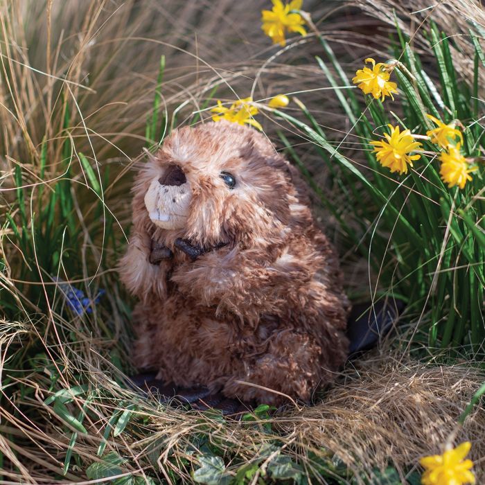 Chester - Beaver Plush-4