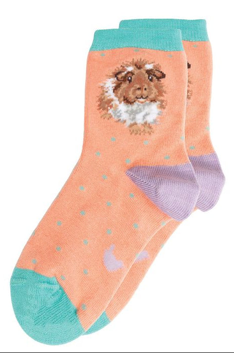 Children's Socks - Guinea pig - Grinny Pig - 27-30-2