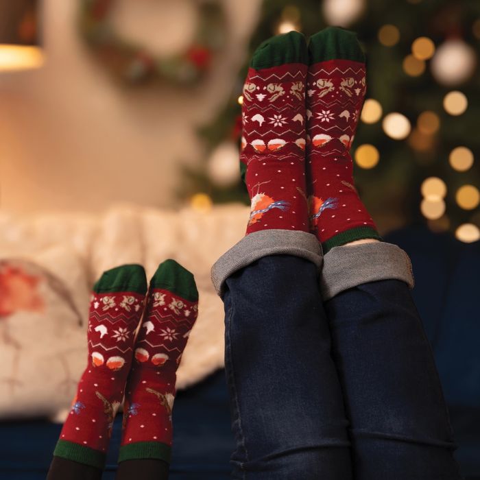 Children's Socks - Robin - Season's Tweetings - 27-30-2