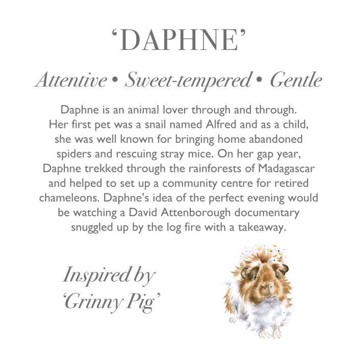 Daphne - Guinea Pig Plush-3
